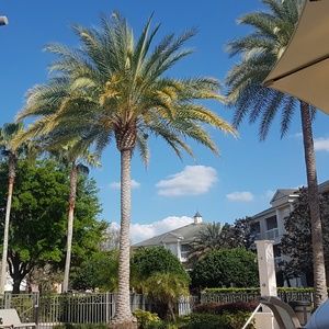 Meet your Posher, Hilary